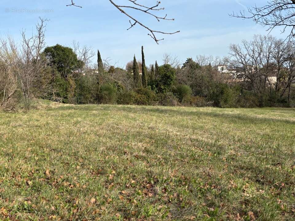 Terrain à ROQUEBRUNE-SUR-ARGENS