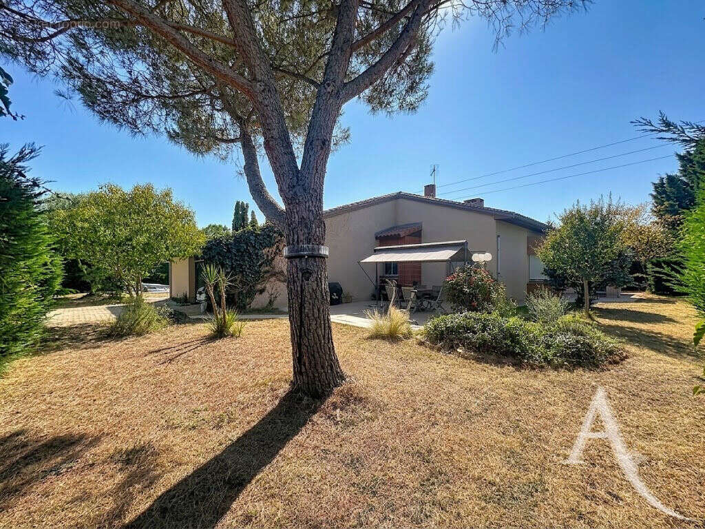 Maison d'architecte Saint Hilaire 5 pièce(s) 170 m2 avec garage et piscine - photo 10