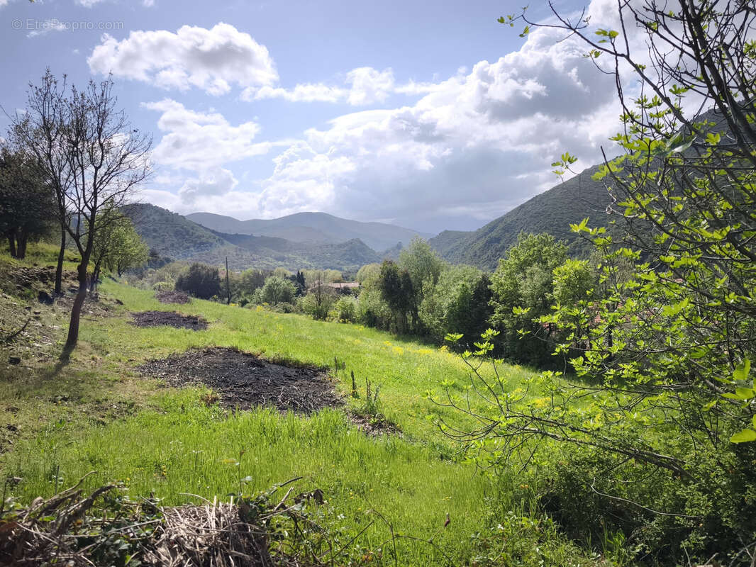 Terrain constructible de 2300m2 sur Ponte Novu - photo 4