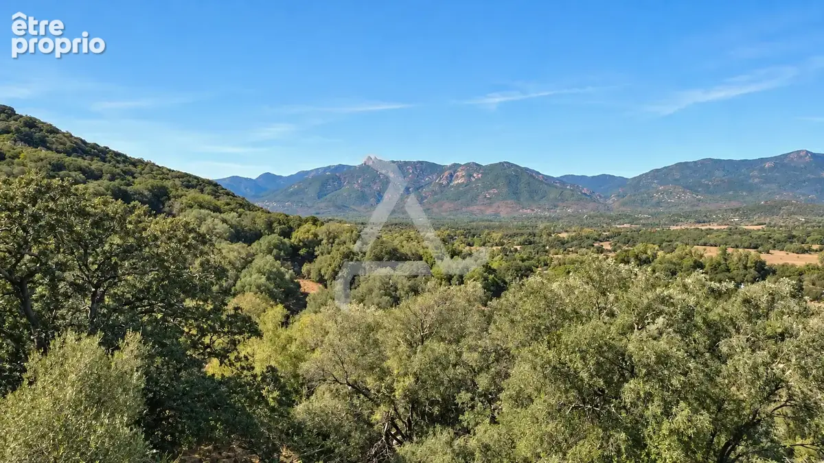 À seulement 3 min de porto-vecchio   terrain de 18 830 m2 avec pc purgé pour villa de 195 m2 avec piscine - photo 9