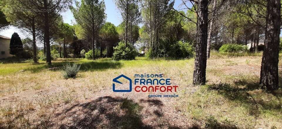 Terrain 500 m² à Roquebrune-Sur-Argens  - photo 2