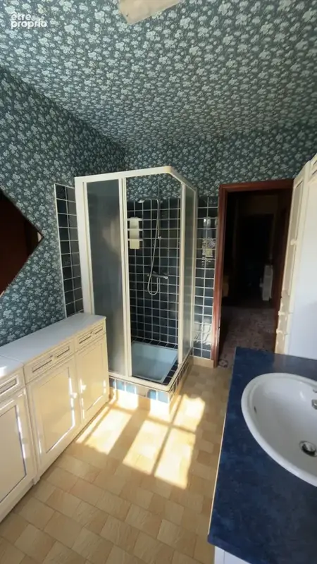 Grande maison avec dépendance - photo 16