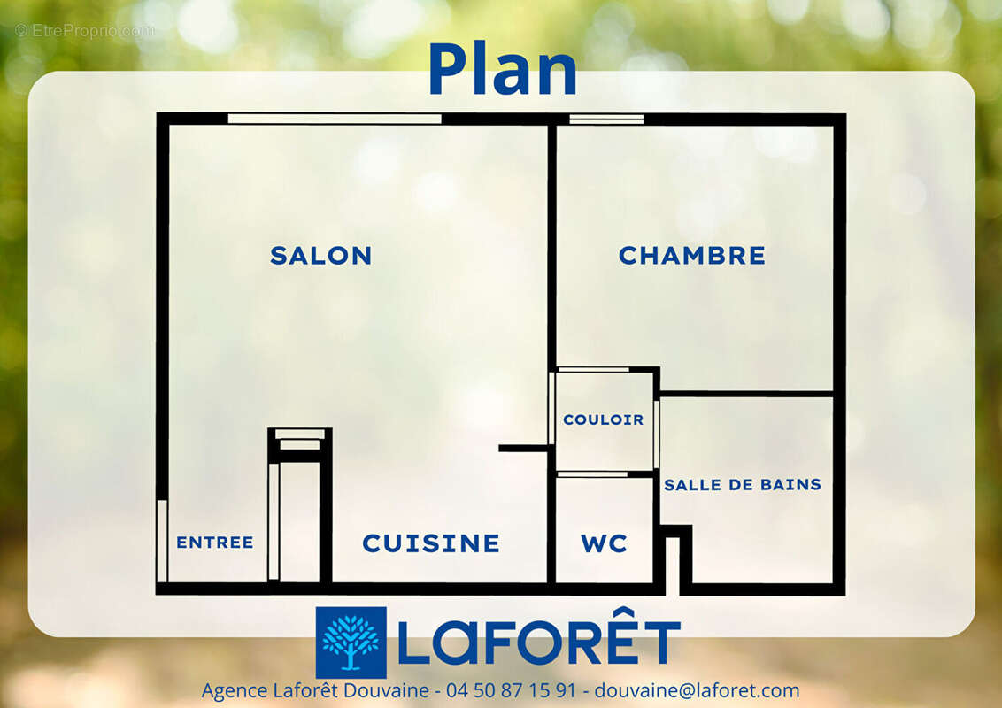 Appartement à SAINT-CERGUES