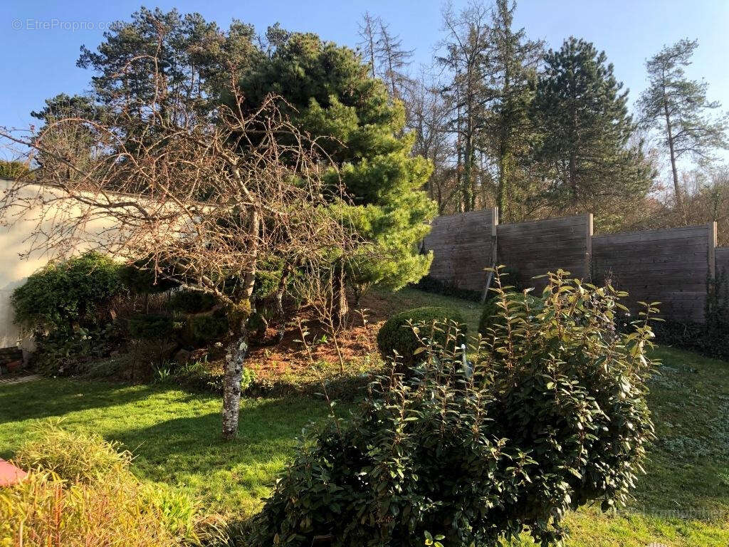 Beau pavillon et son jardin paysager - photo 13
