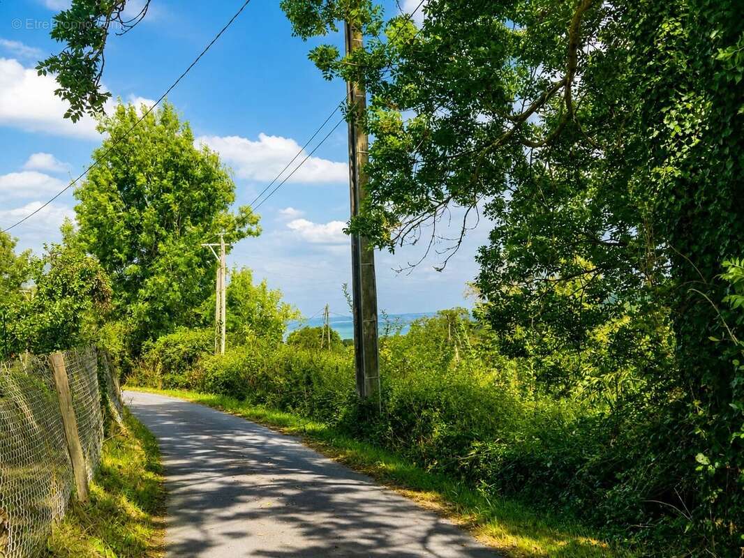 Ensemble de trois parcelles d’une superficie totale de 4 780 m² - photo 4