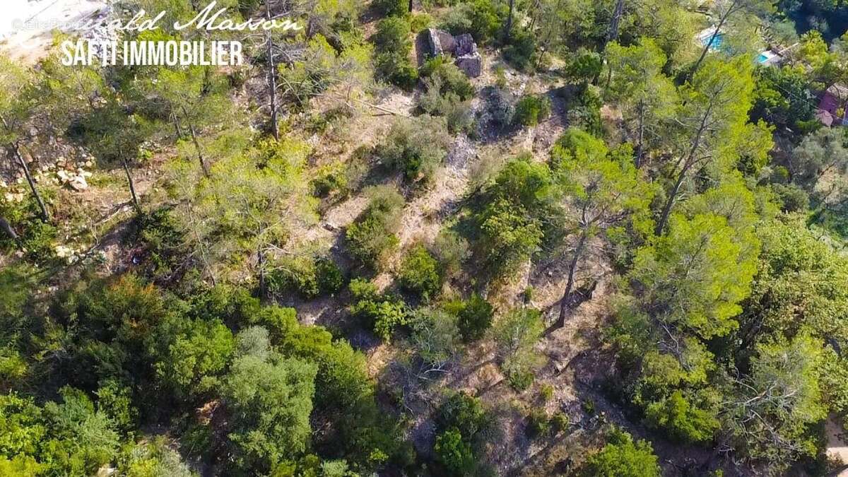 Photo 5 - Terrain à BELGENTIER