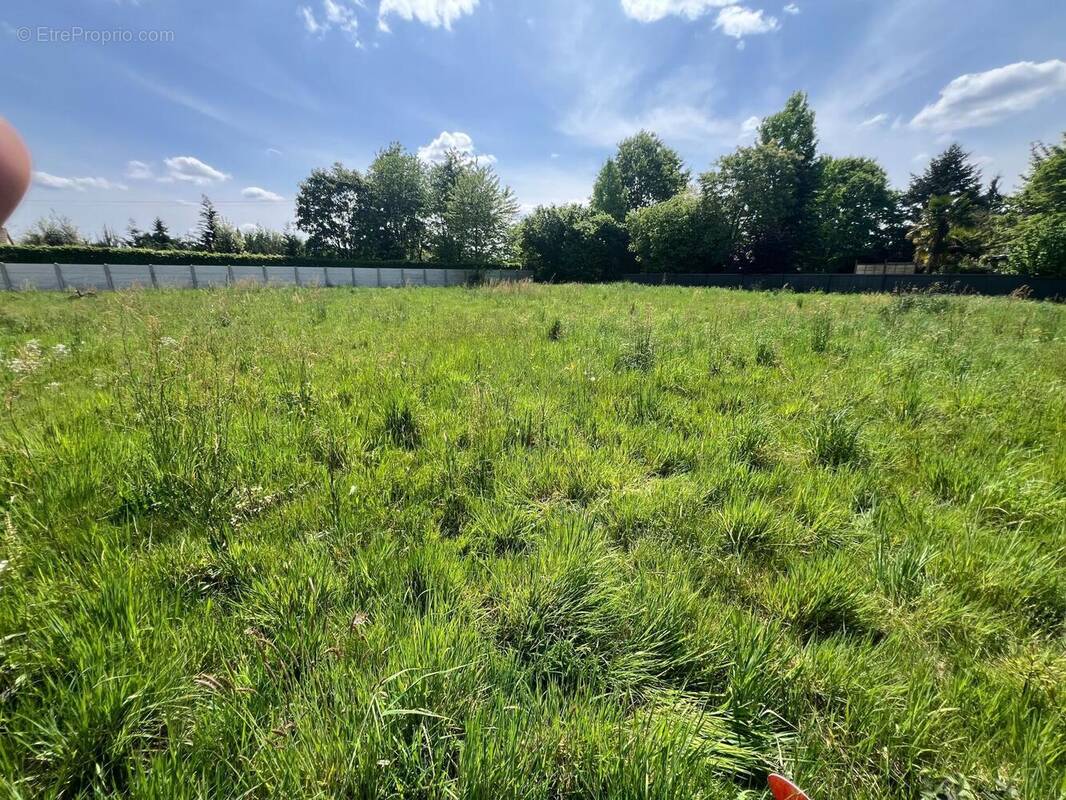 Photo 1 - Terrain à MONCE-EN-BELIN