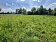 Photo 1 - Terrain à MONCE-EN-BELIN