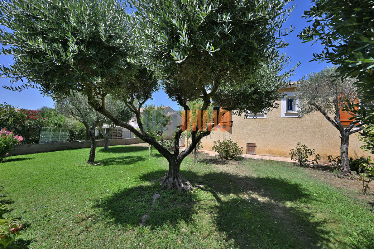 Villa plain-pied à Aimargues - photo 12