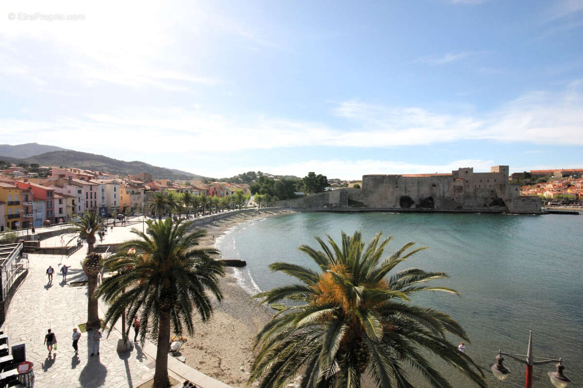 Commerce à COLLIOURE