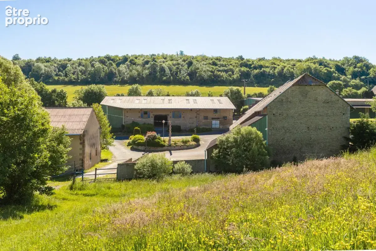 Domaine equestre - boxes-manege-carriere-appartement - photo 2