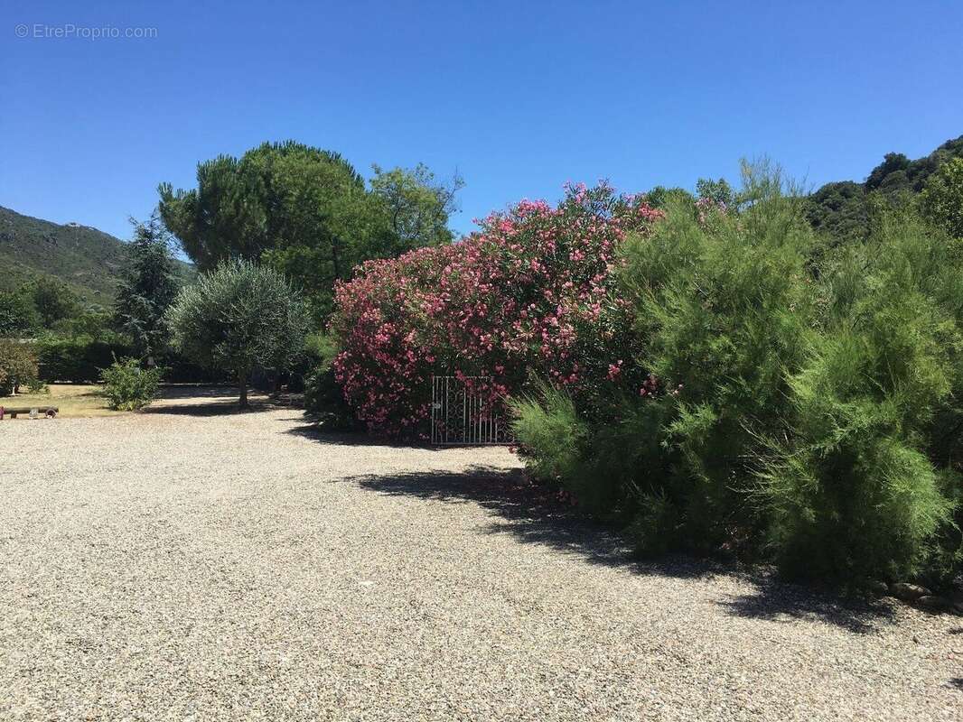 Photo 3 - Maison à ROQUEBRUN