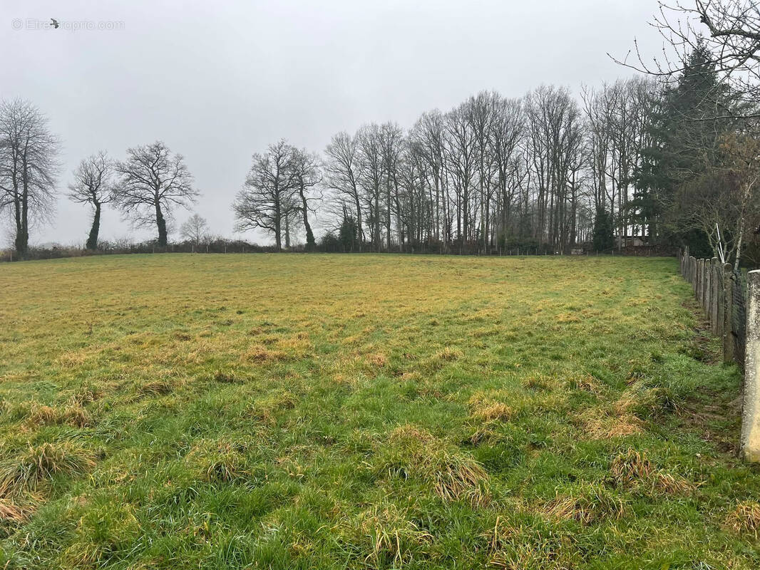 Terrain à ANSAC-SUR-VIENNE