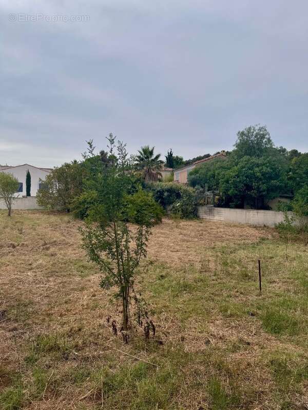 Terrain à MARSEILLE-11E