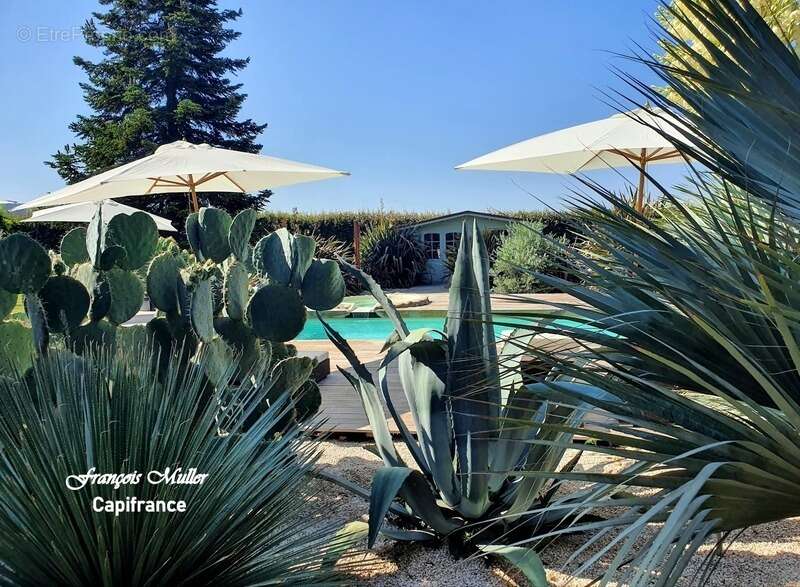 Propriété de caractère avec piscine et gîtes – Art de vivre en Provence - photo 5