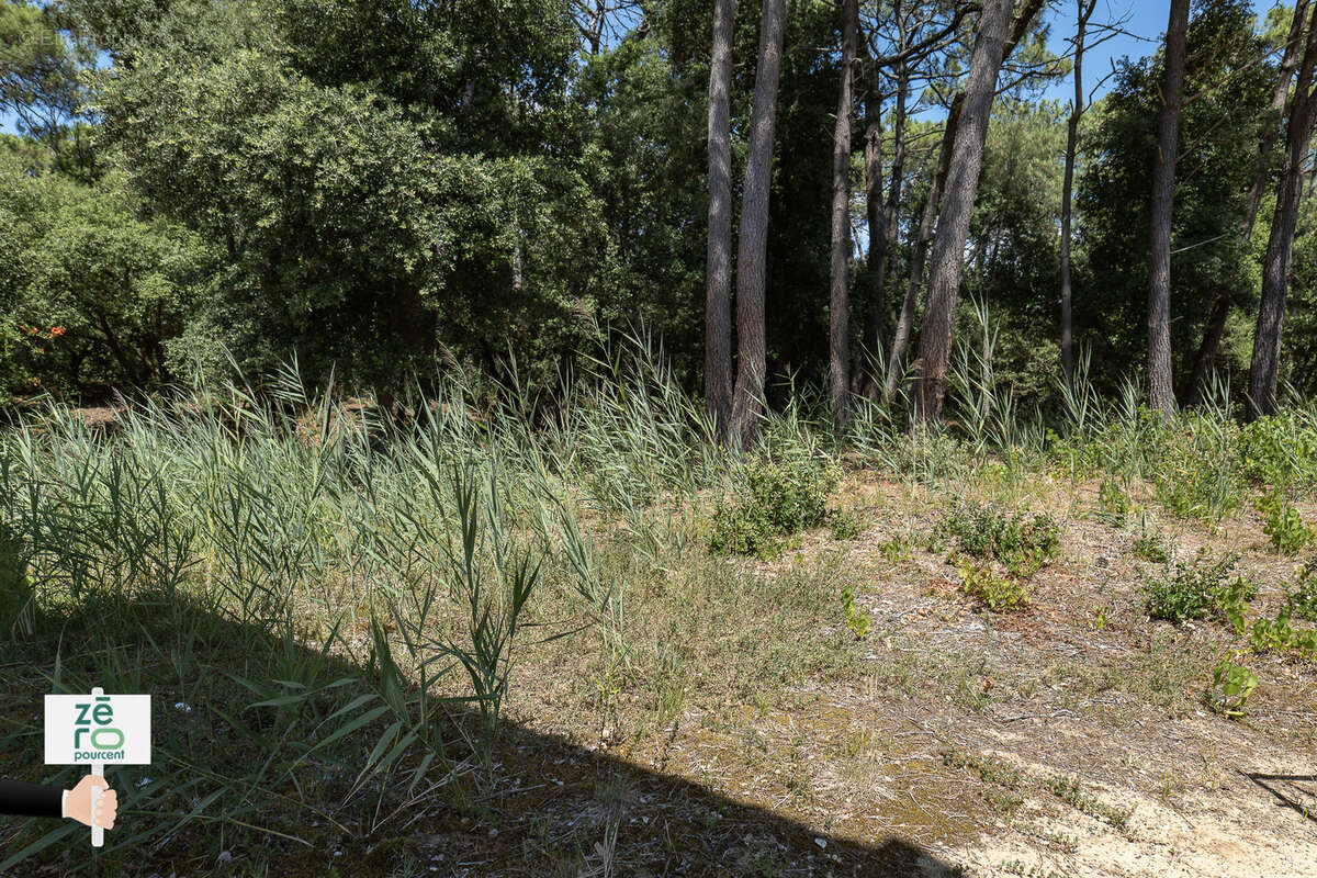 Terrain à LA TRANCHE-SUR-MER