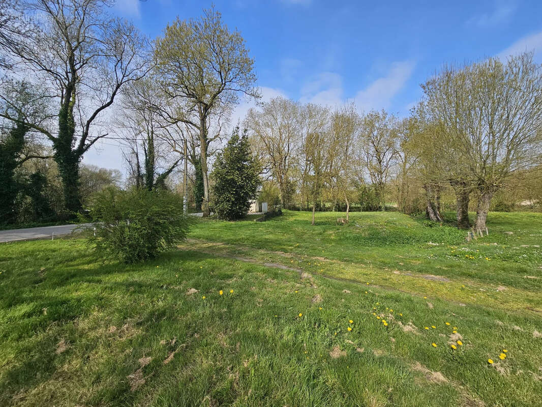 Terrain à SAINT-CHRISTOPHE