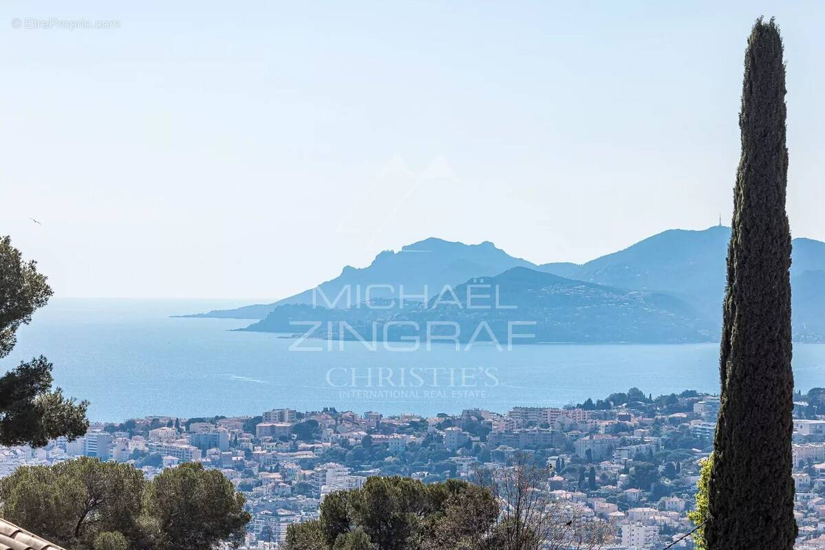 Terrain à LE CANNET