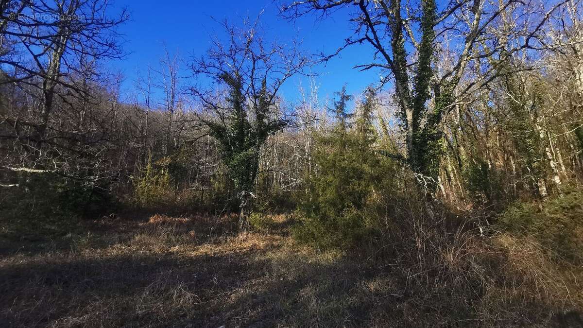 Terrain constructible - photo 2