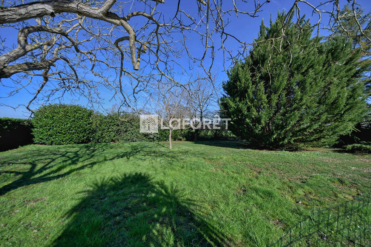 Maison à LISLE-SUR-TARN