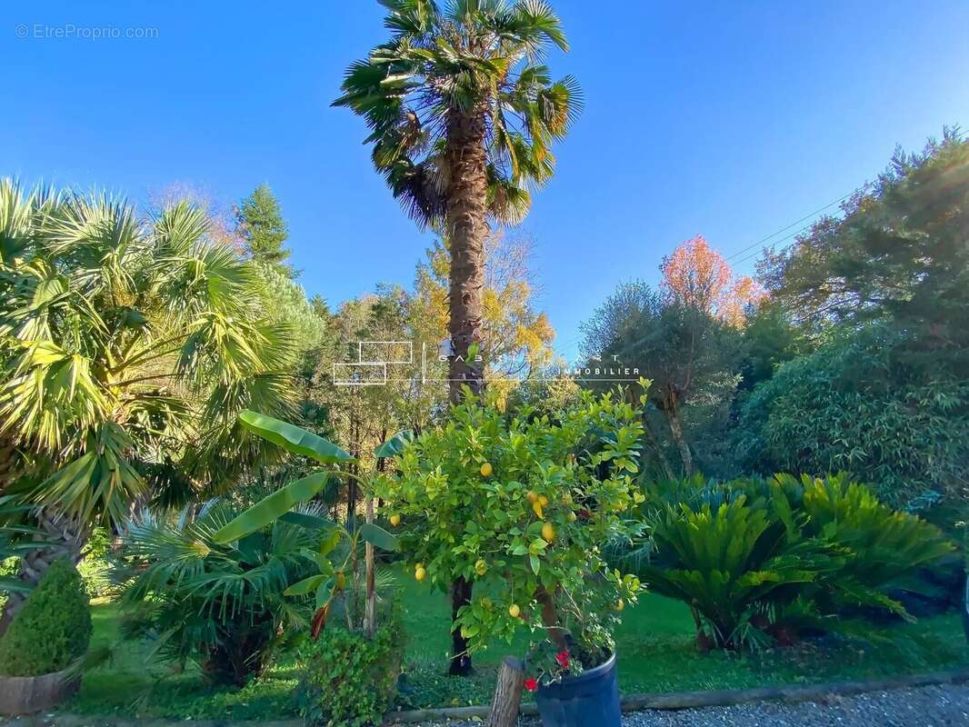 Maison à PEYREHORADE