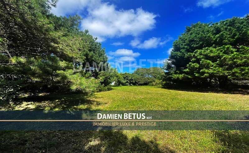 Terrain à L&#039;ILE-D&#039;YEU