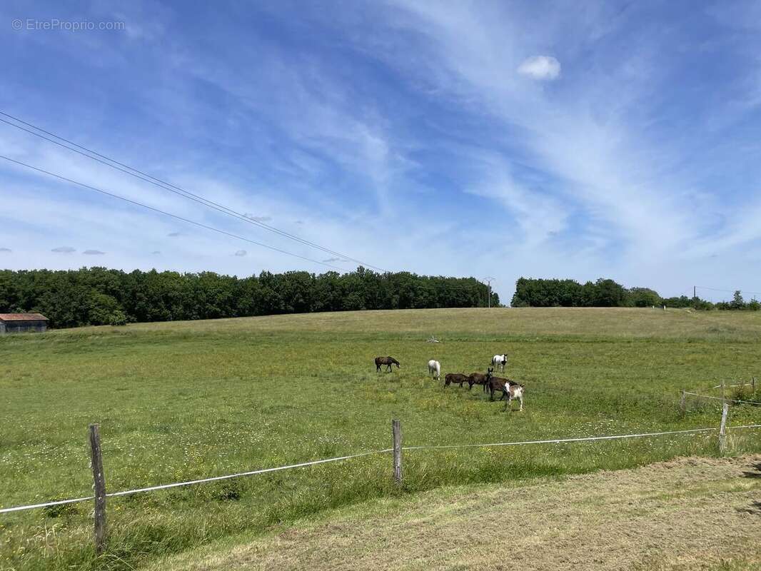 Photo exterieur 1 - Maison à BERGERAC