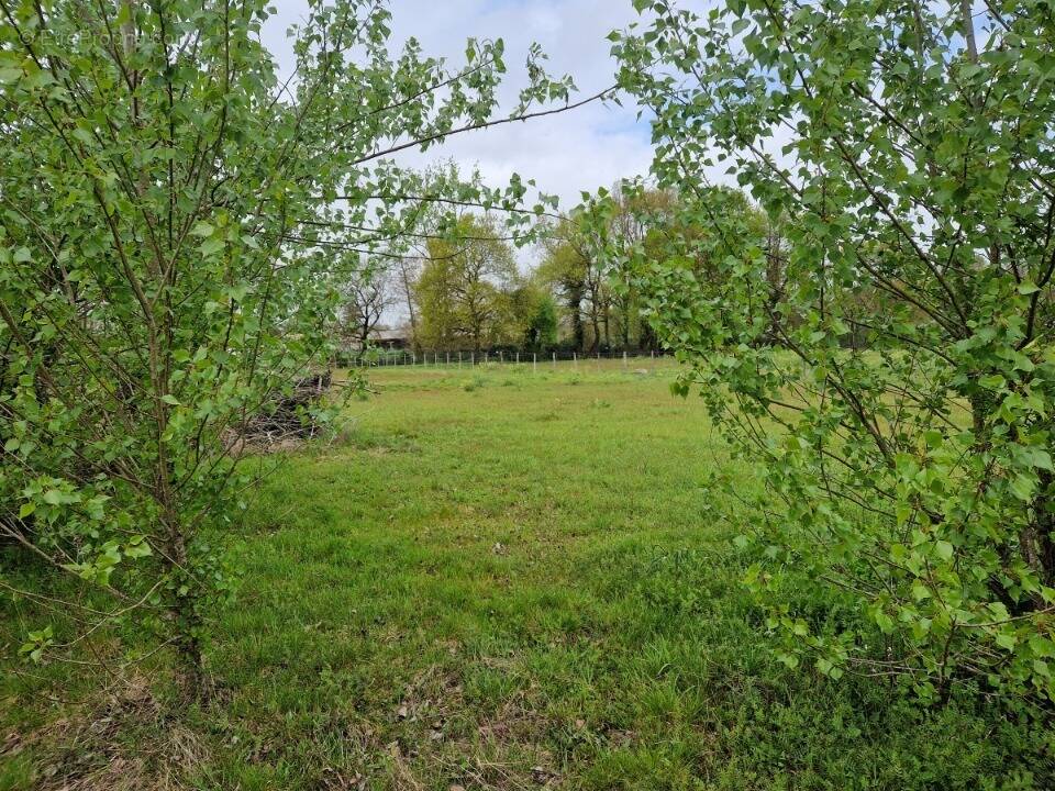 Terrain à SAINT-SULPICE-ET-CAMEYRAC