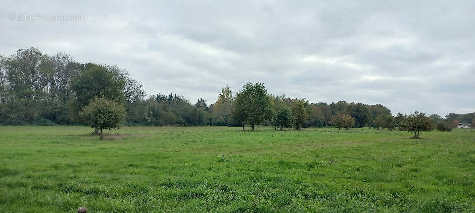 Terrain à MENESPLET