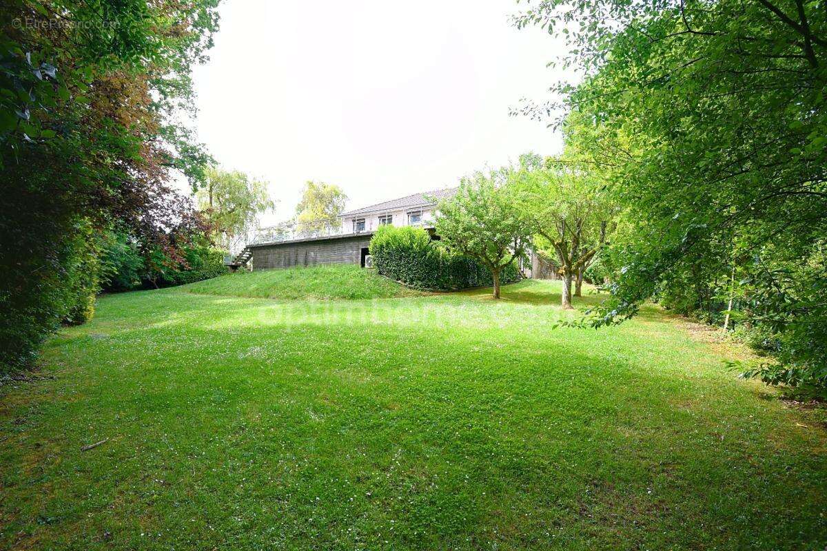 Cadre exceptionnel en lisière de forêt – Maison avec piscine à Pange - Terrain de 15 ares environ - photo 11
