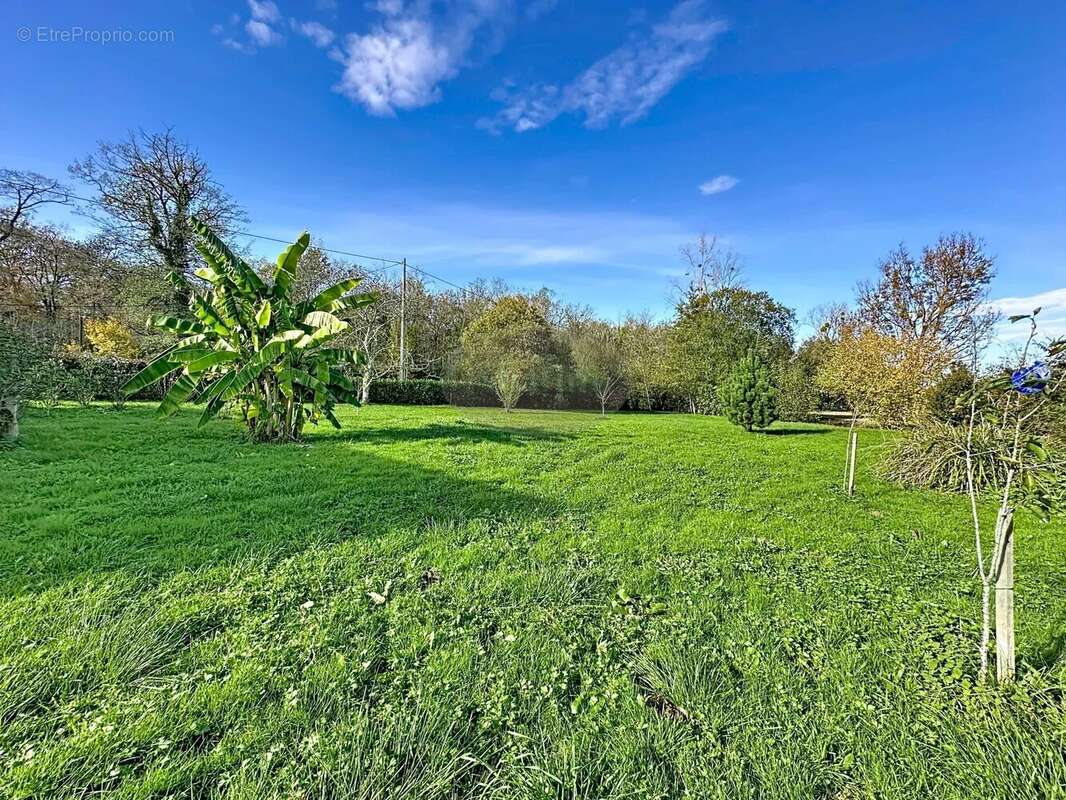 Maison à POUYASTRUC