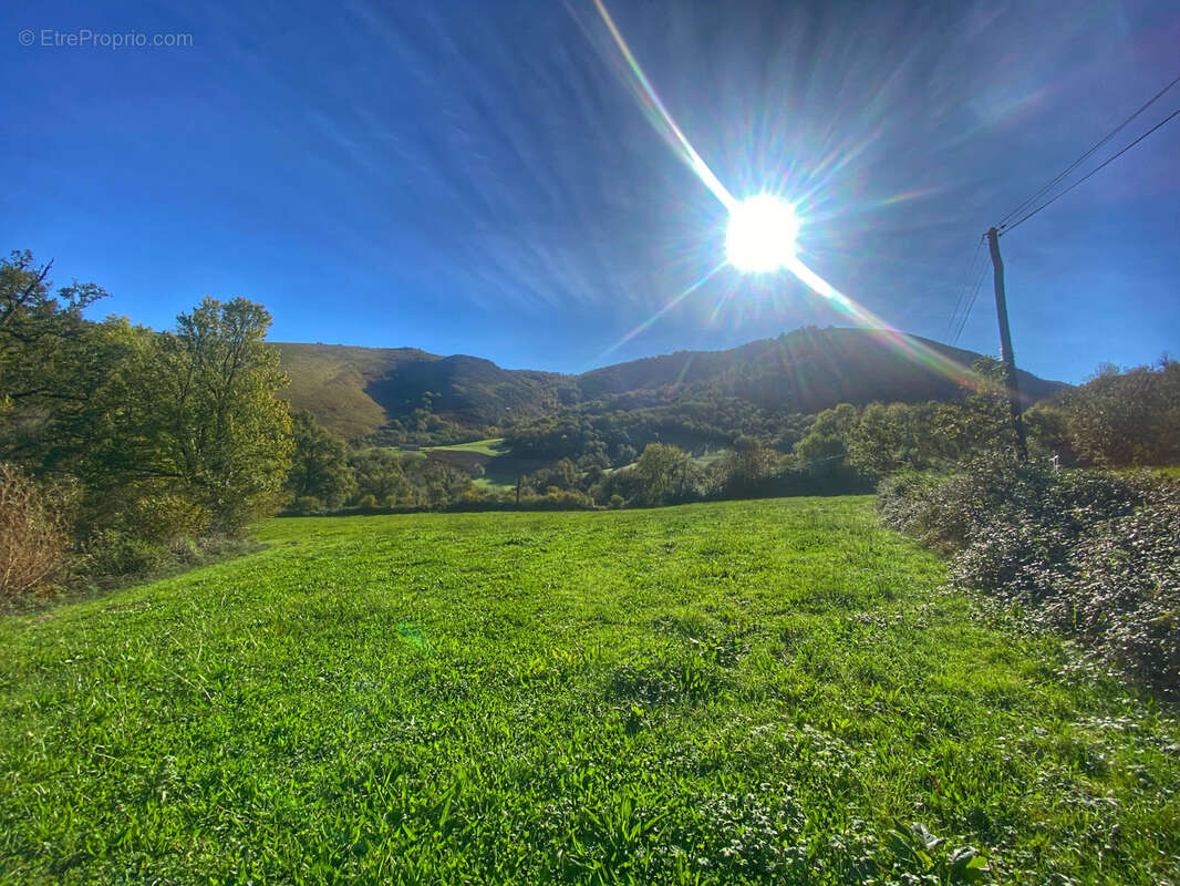 Terrain à SAINT-PALAIS
