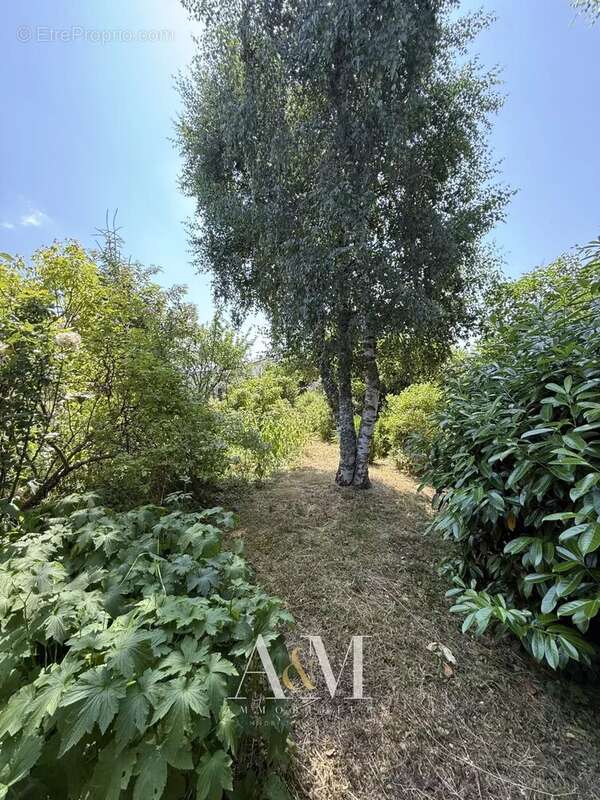 Villa T6 de 275 m² + sous-sol 180 m²/ 2548m² - photo 27