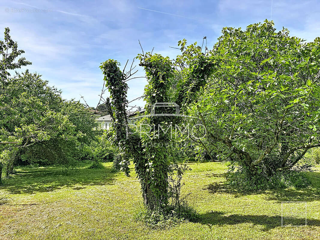 Maison à SAINT-CYR-AU-MONT-D'OR