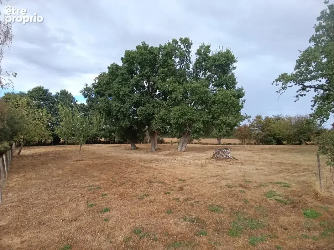 Propriété la campagne 7600m2 de terrain pas de travaux - photo 6