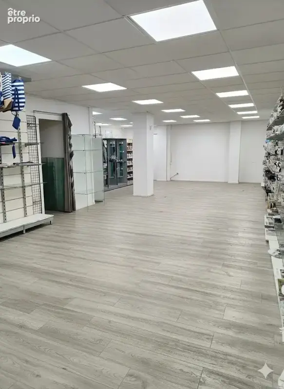 commerce 106m2 - Commerce à PENESTIN