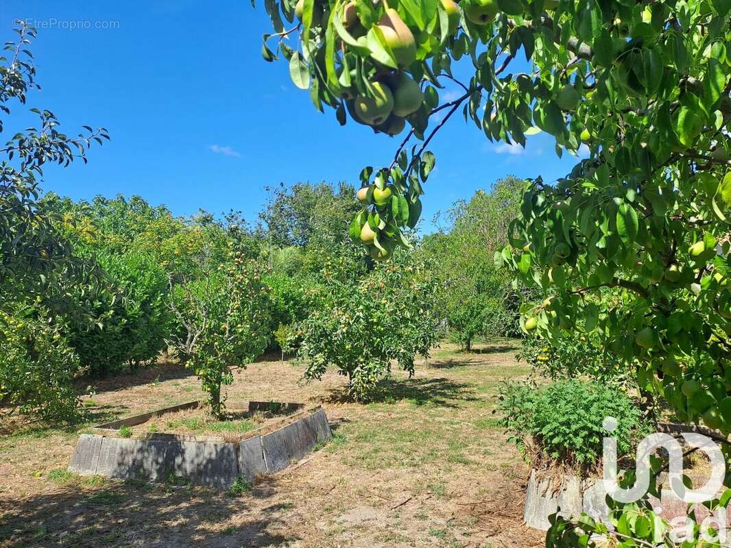 Photo 3 - Maison à ARVERT