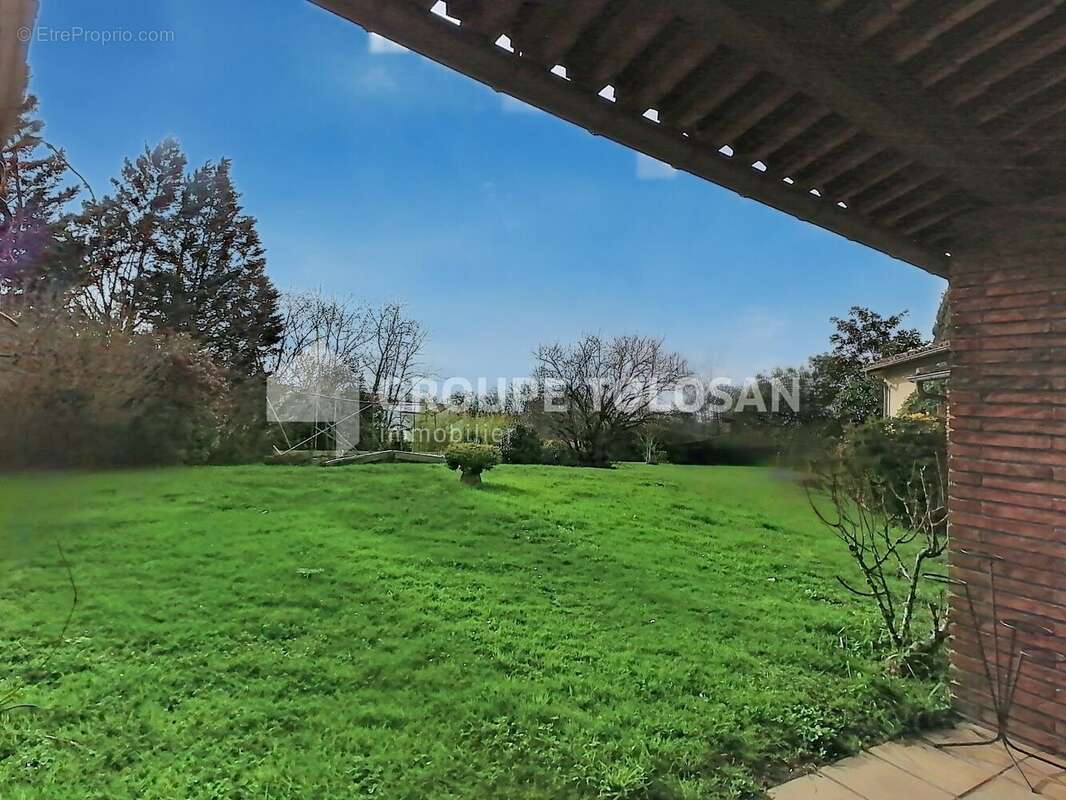 Centre montrabe - photo 3