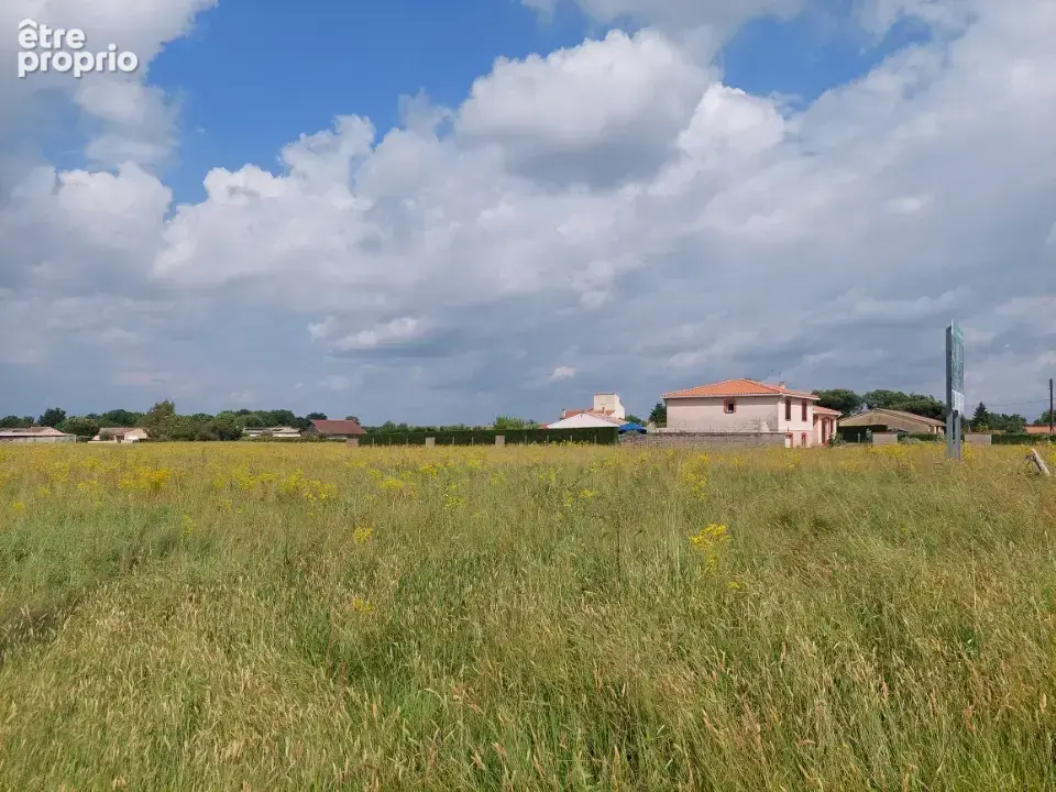 Terrain 635 m² à Montauban  - photo 3