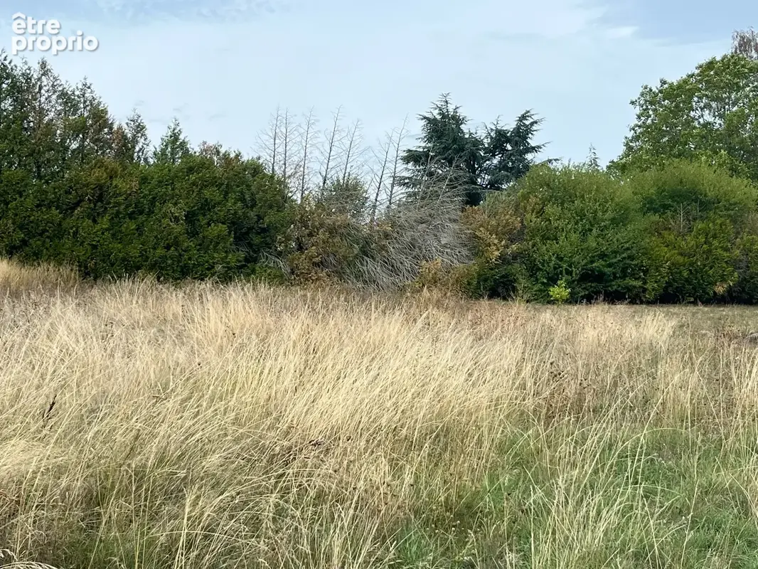 Terrain 8 ares au calme - photo 3