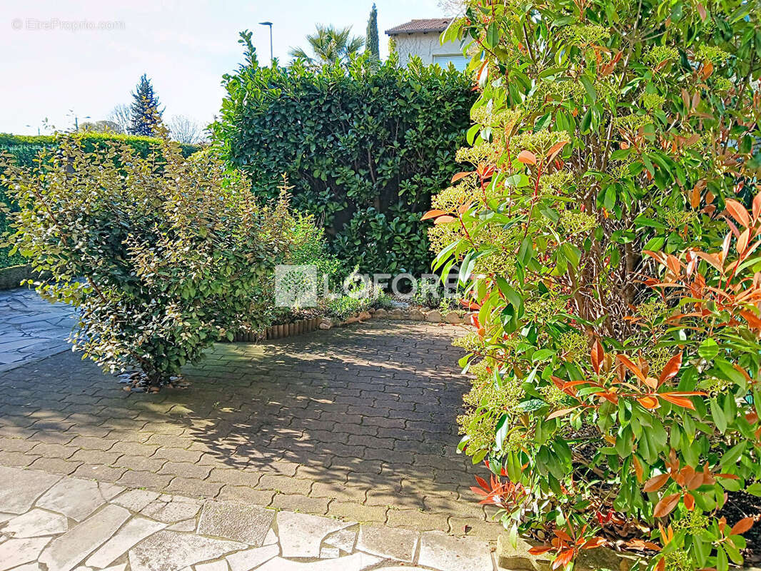 Maison à MONTPELLIER