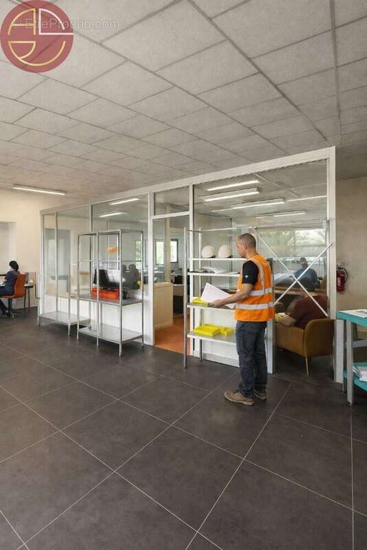 Commerce à PINS-JUSTARET