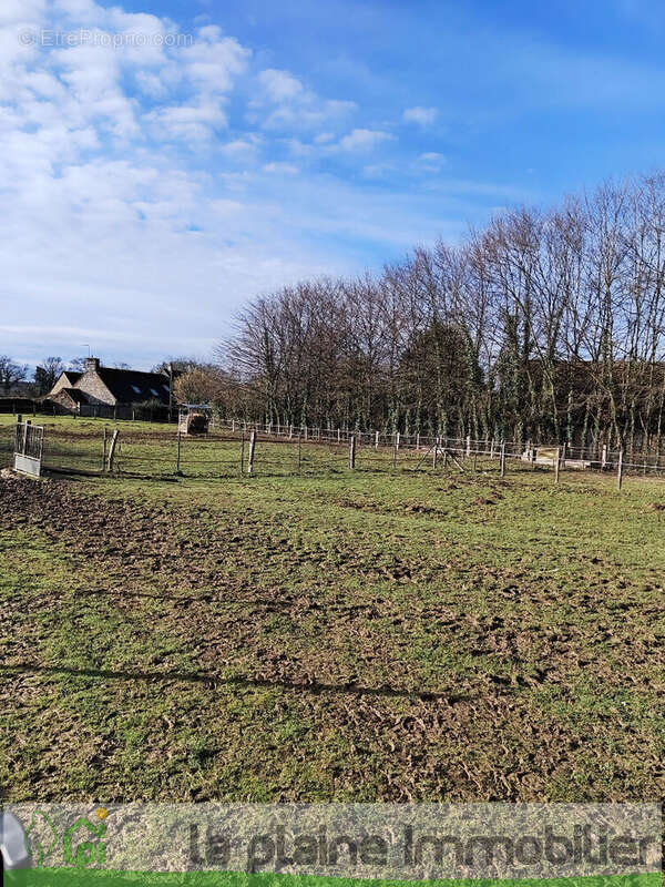 Maison à LA FERTE-MACE