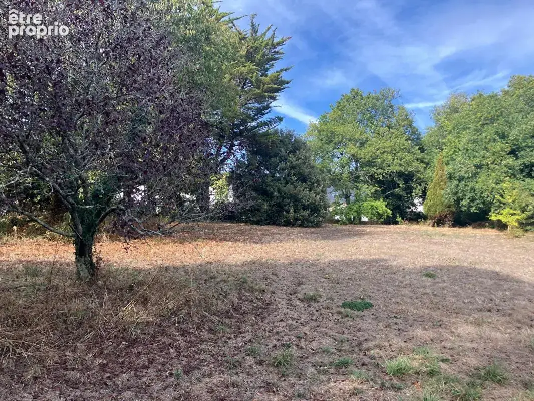 Terrain à SARZEAU
