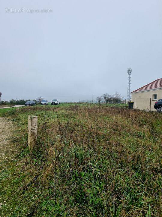 Terrain à COURTACON