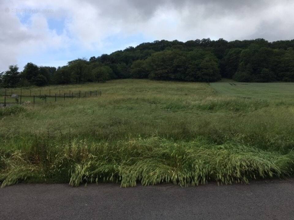 Terrain à MACHEMONT