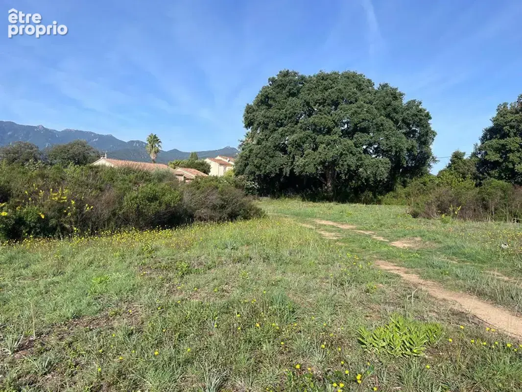 A vendre- Terrain constructible de 900 m2- vue montagnes, Ghisonaccia-Gare - photo 5