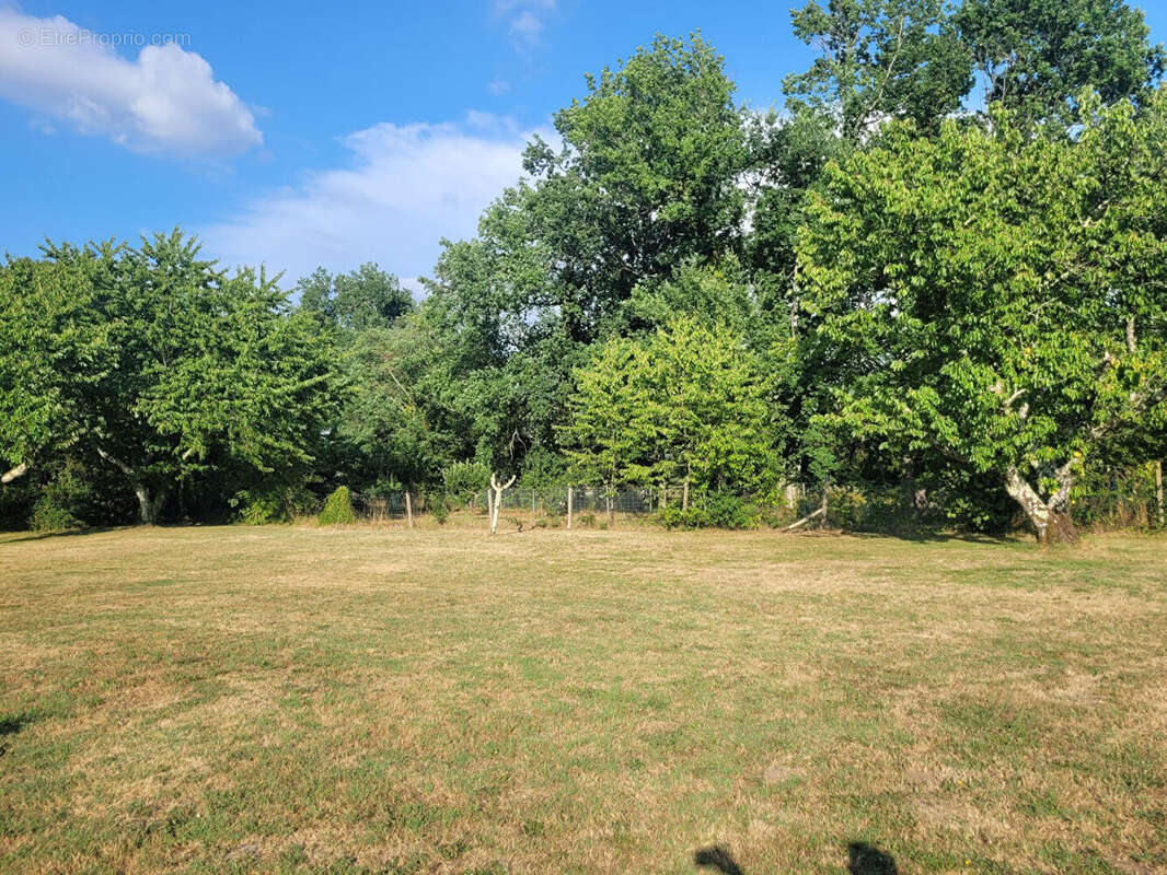 Maison de 110 m2 en campagne - photo 3