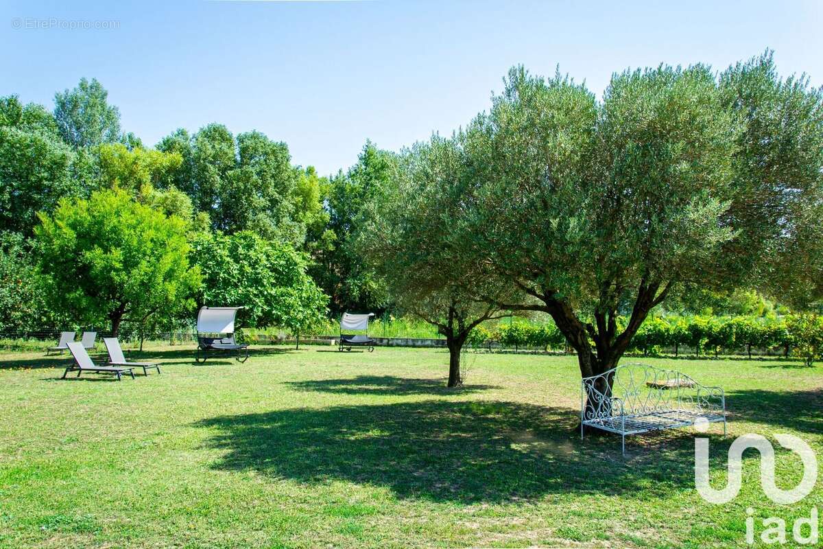 Photo 5 - Maison à CHATEAUNEUF-DU-PAPE