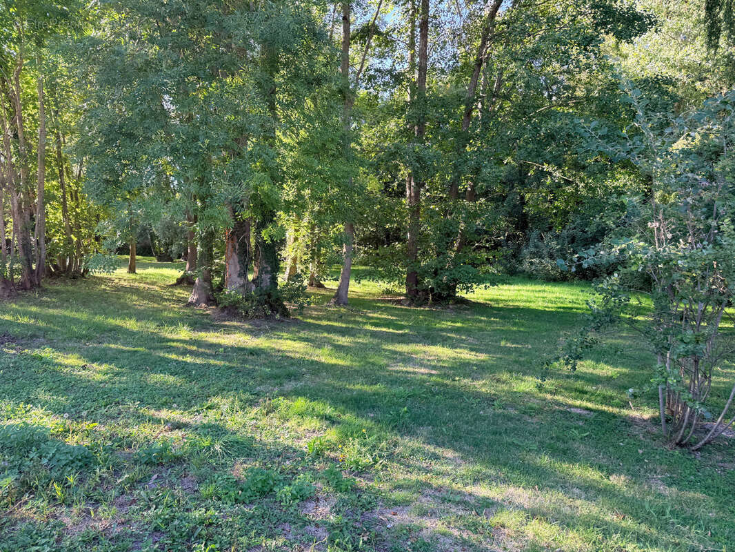 Maison à FERREUX-QUINCEY